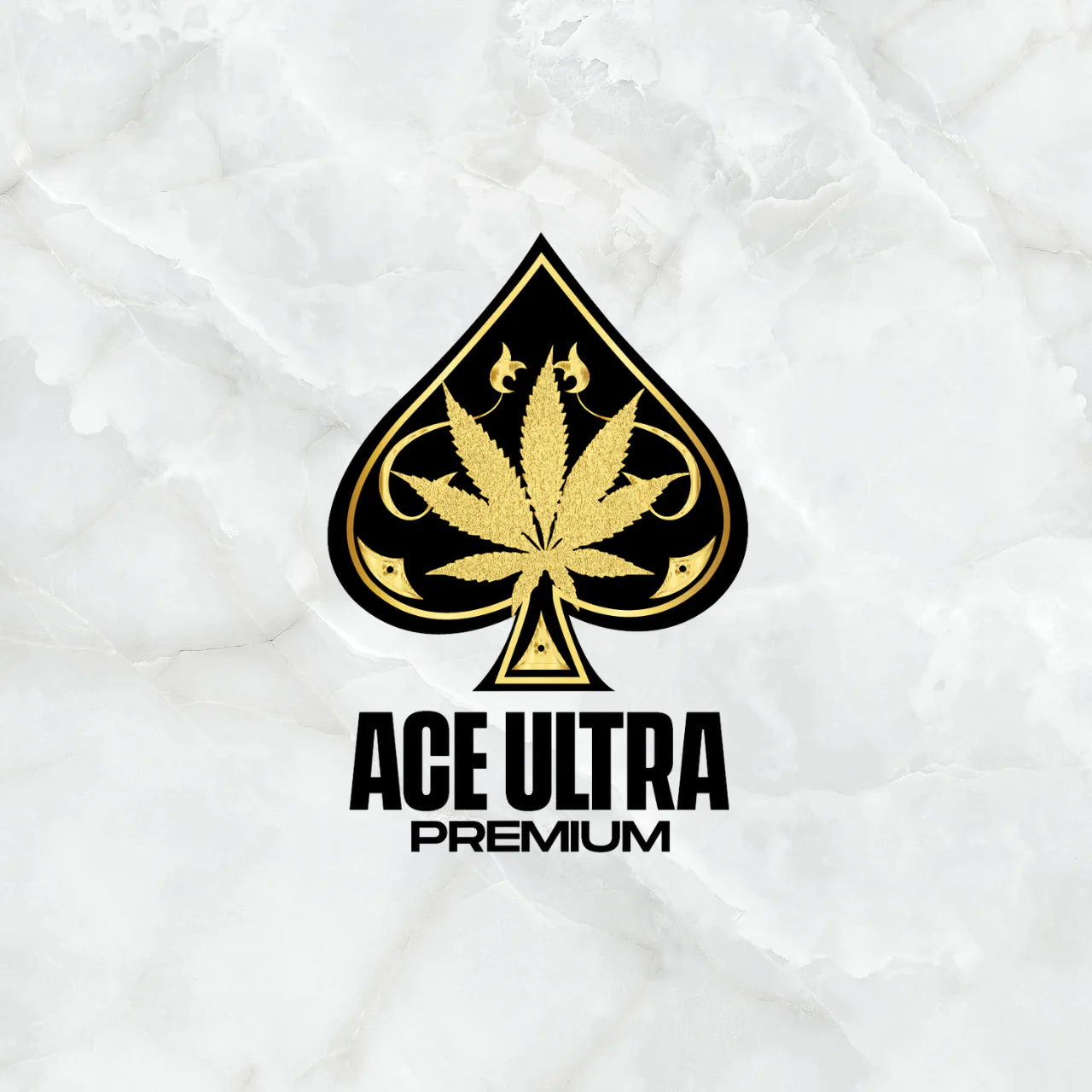 ACE ULTRA PREMIUM MALETIN (Sin seguro)